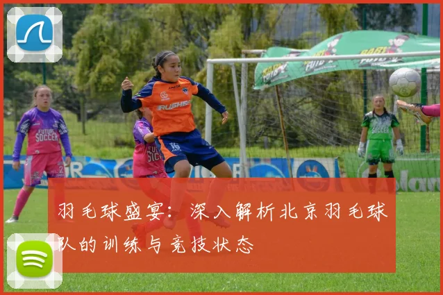 羽毛球盛宴：深入解析北京羽毛球队的训练与竞技状态