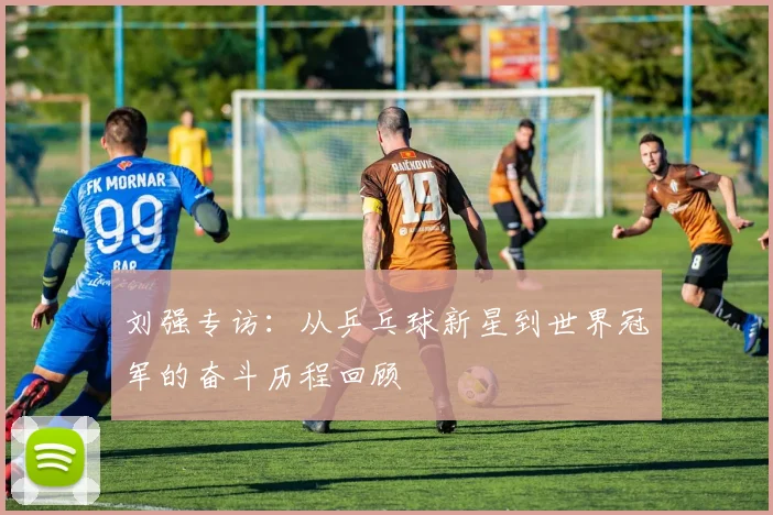 刘强专访：从乒乓球新星到世界冠军的奋斗历程回顾