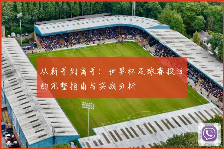 从新手到高手：世界杯足球赛投注的完整指南与实战分析